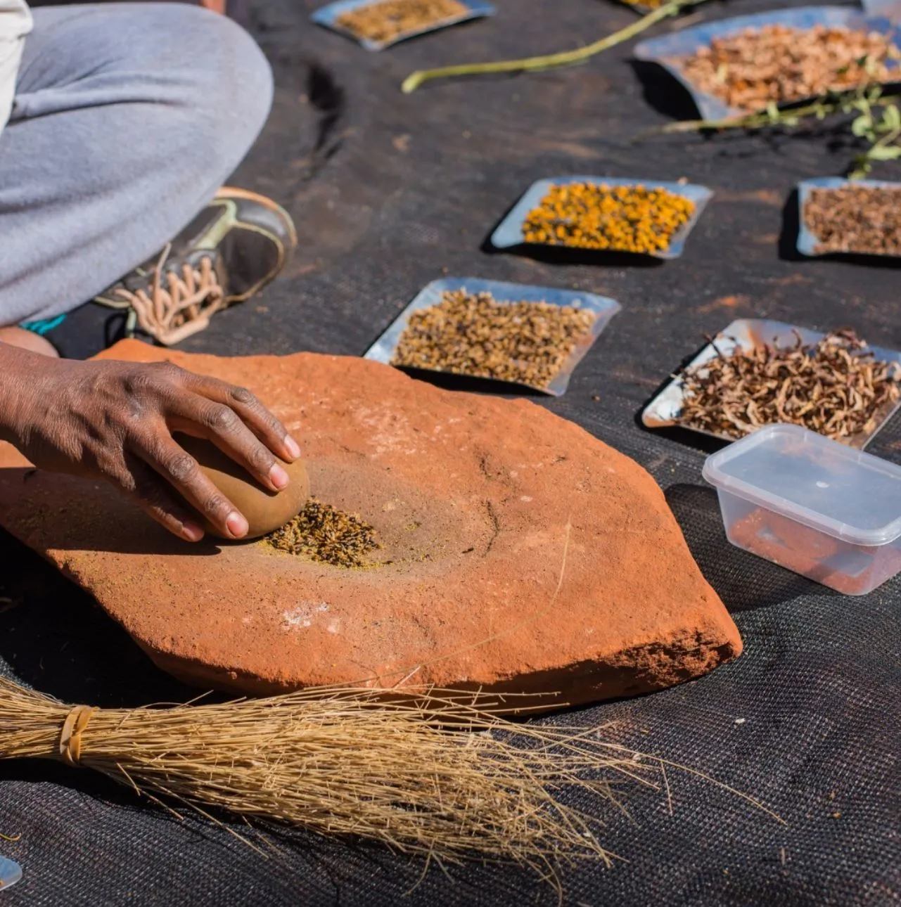 Queen City Project | Why is Kings Canyon, Watarrka National Parkso famous? Karrke Aboriginal Cultural Experience