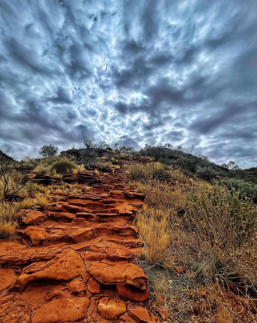 Queen City Project | Why is Kings Canyon, Watarrka National Parkso famous? Kings Canyon Rim Walk