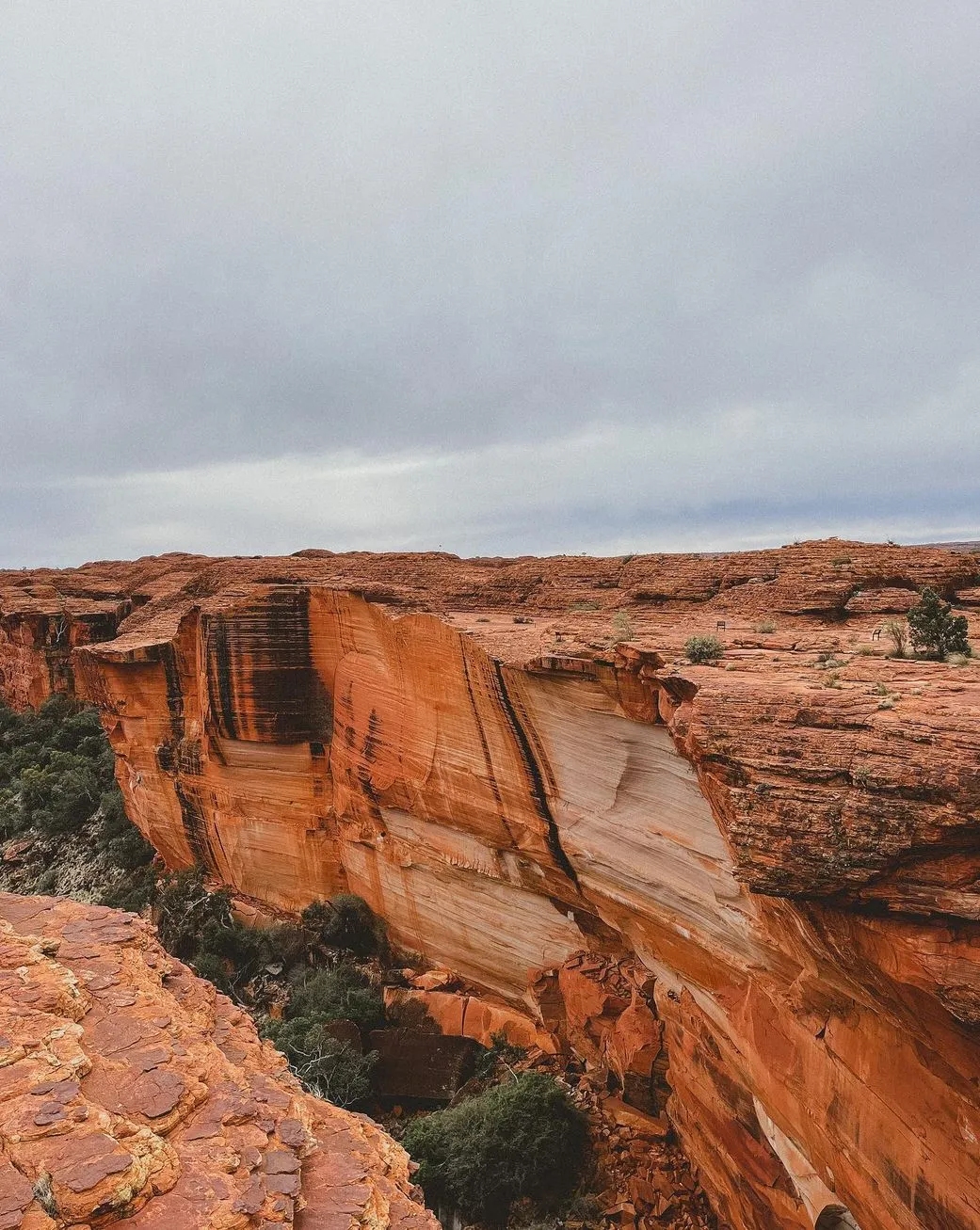 Queen City Project | Why is Kings Canyon, Watarrka National Parkso famous? Kings Canyon in Watarrka National Park
