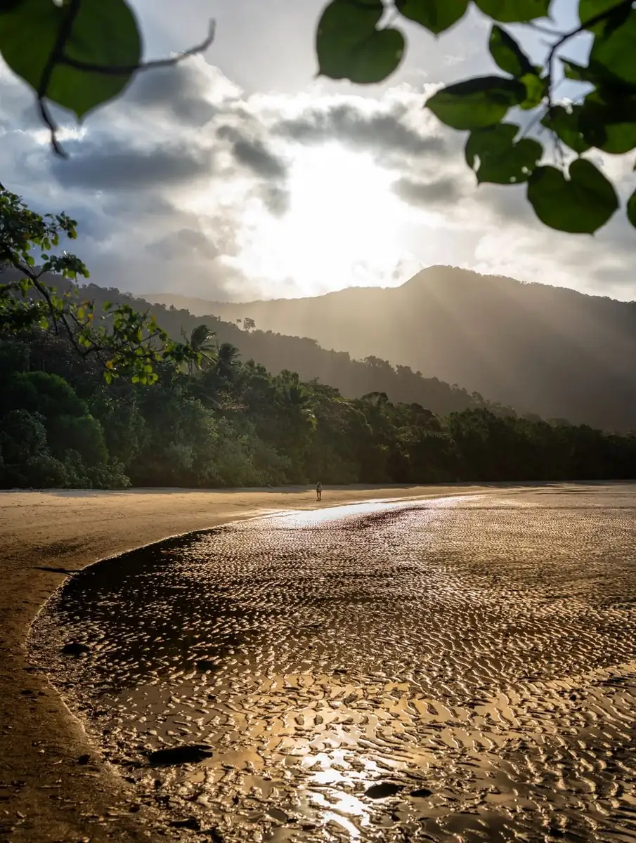 Queen City Project | Slow Travel in the Tropics: A 10-Day Guide to Reef and Rainforest Let Cape Tribulation Be Quiet And Unhurried