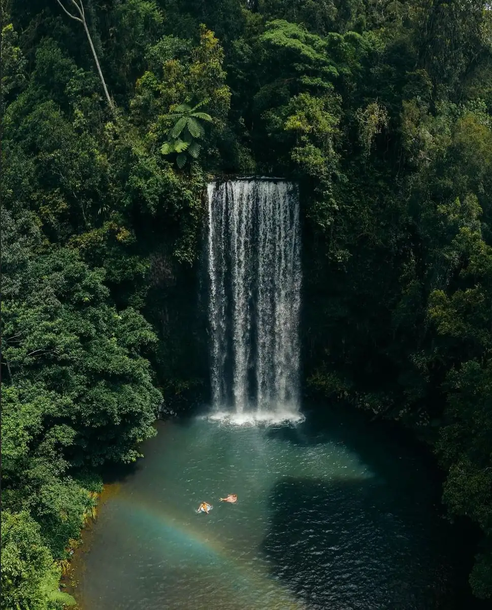 Queen City Project | Slow Travel in the Tropics: A 10-Day Guide to Reef and Rainforest Millaa Millaa Falls