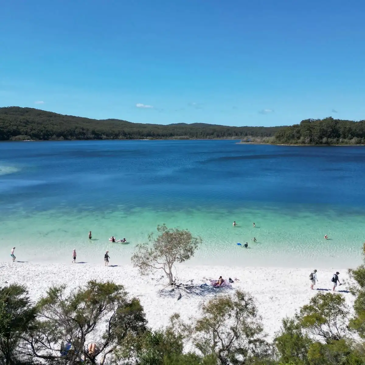 Queen City Project | Slow Travel in the Tropics: A 10-Day Guide to Reef and Rainforest Remote K’gari and Whale Experience Tour