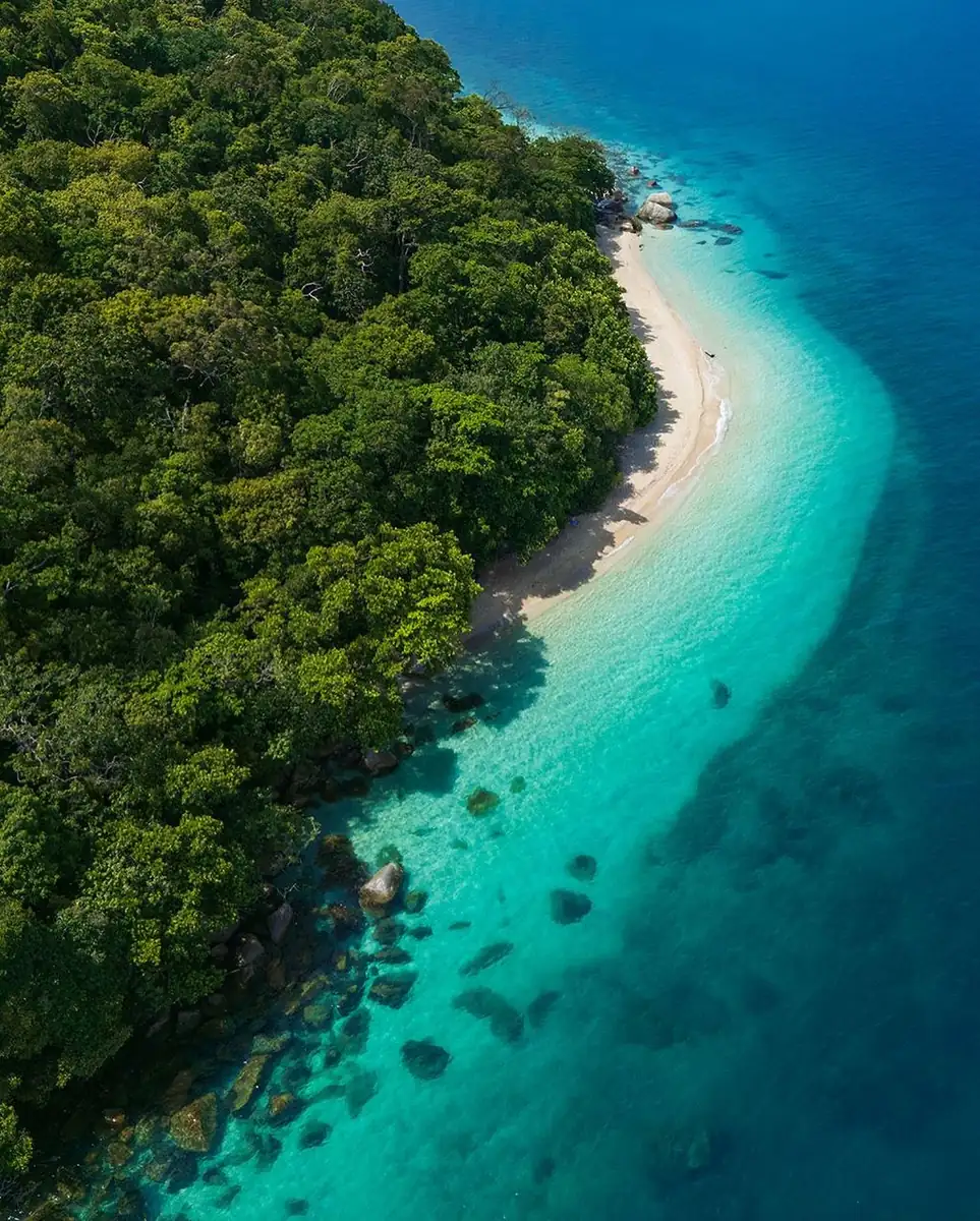 Queen City Project | Slow Travel in the Tropics: A 10-Day Guide to Reef and Rainforest Start In Cairns And Let The Coral Sea Slow You Down