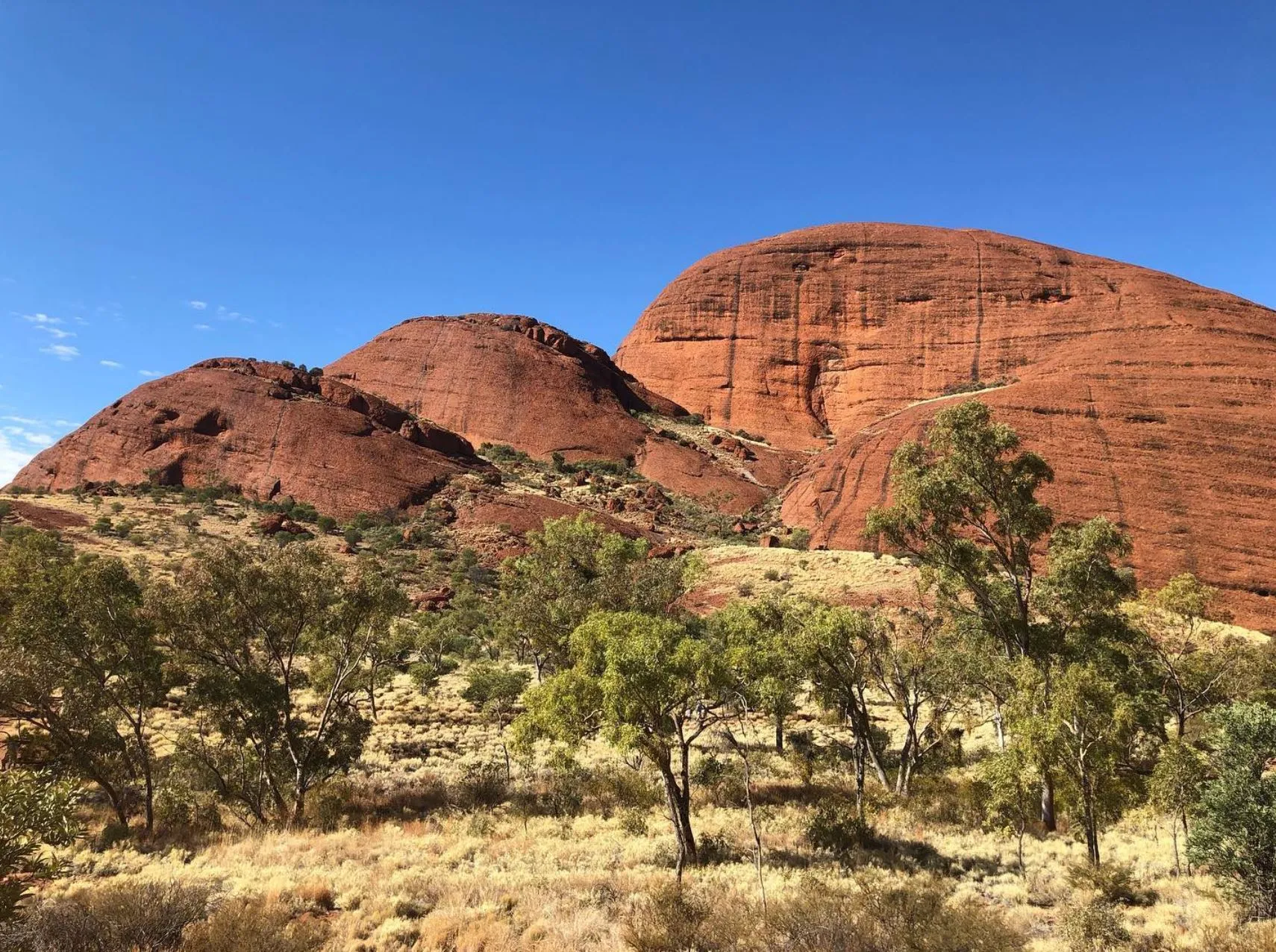 Queen City Project | Why Do People Visit Alice Springs? The Olgas