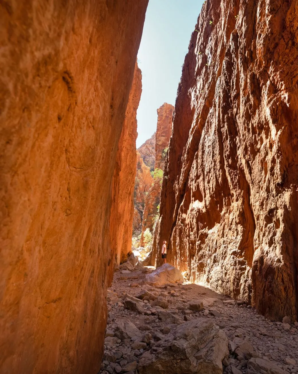 Why Do People Visit Alice Springs?